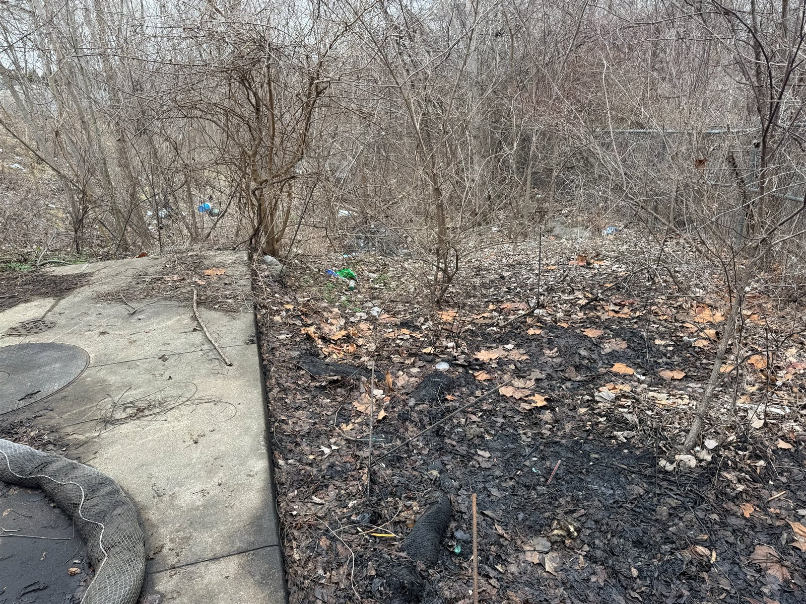 Site conditions surrounding a downhill oil-water separator before petroleum-impacted soil removal