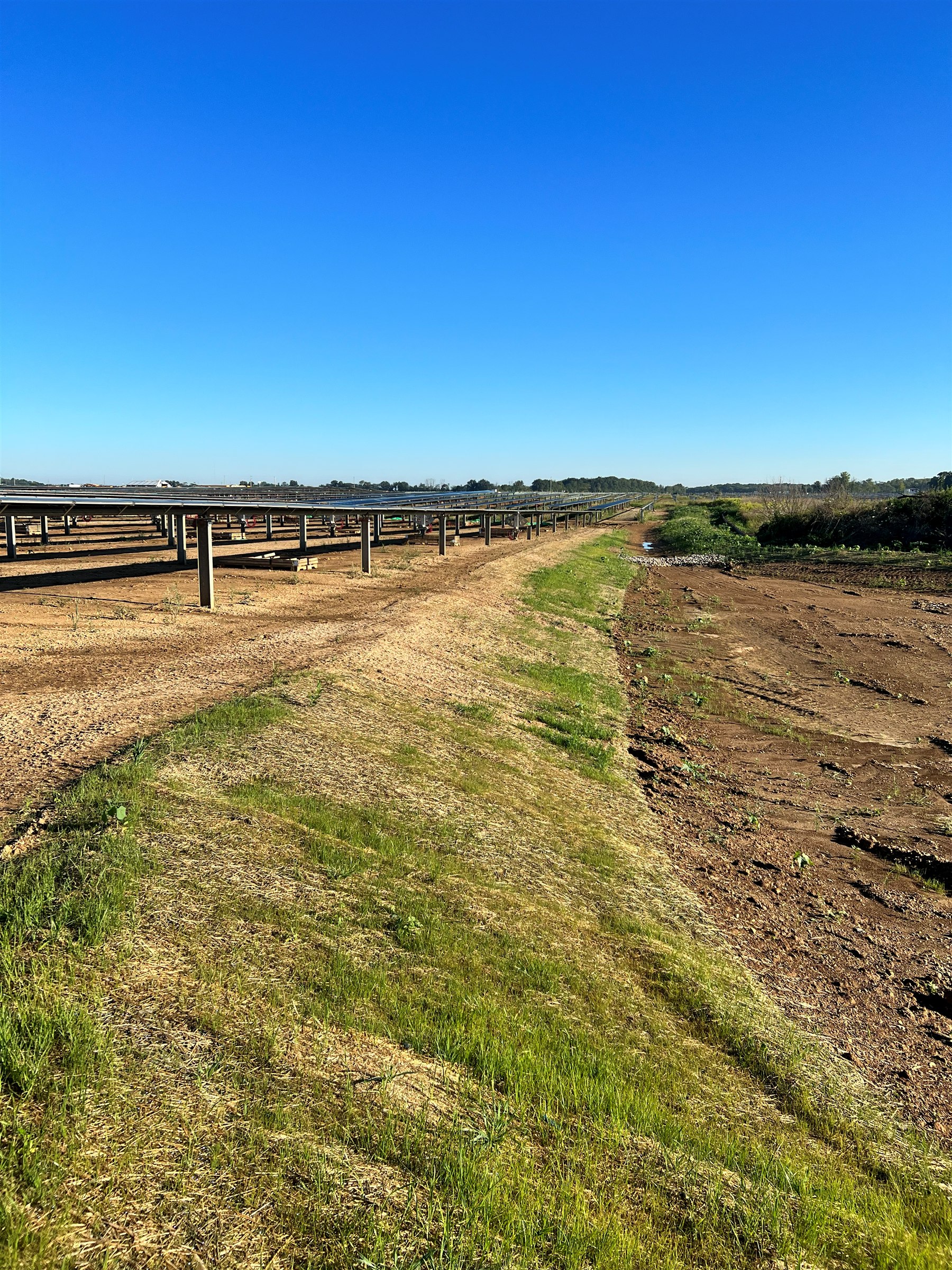 Established vegetation along an erosion control blanket adjacent to a solar panel array