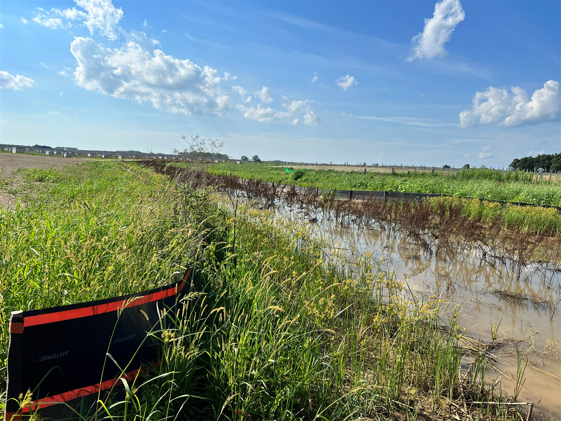 Sediment control along delineated wetlands at a utility-scale solar construction site