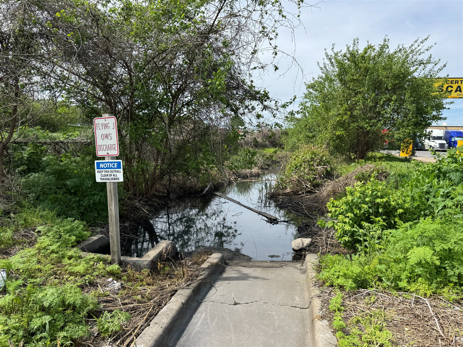 Overgrown stormwater channel with sediment buildup and reduced flow capacity